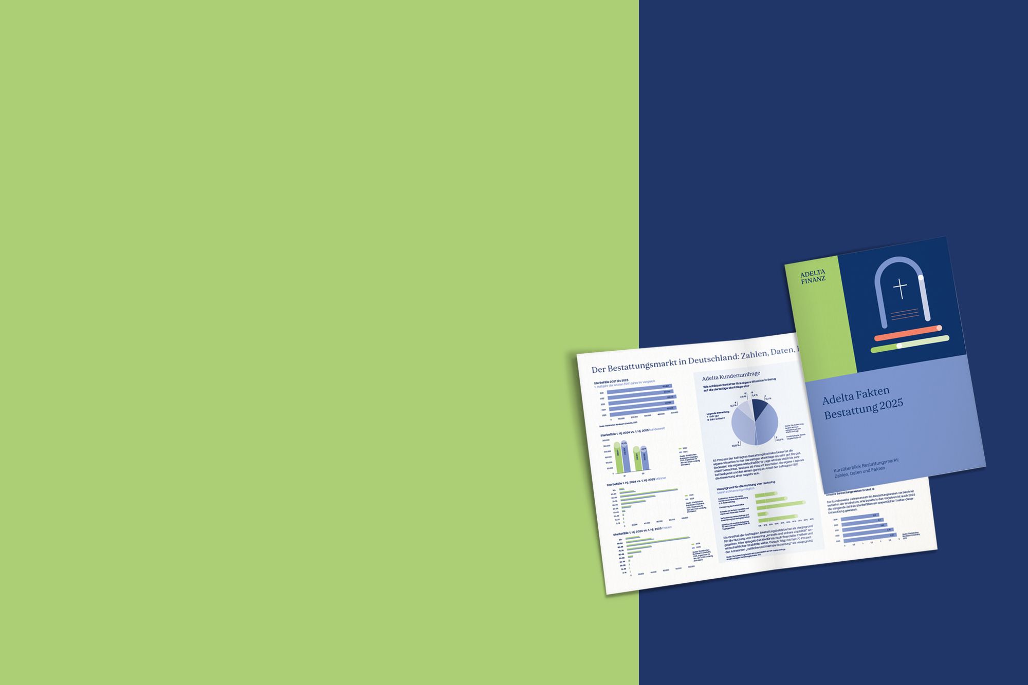 Adelta Fakten 2025 Header mit Mockup